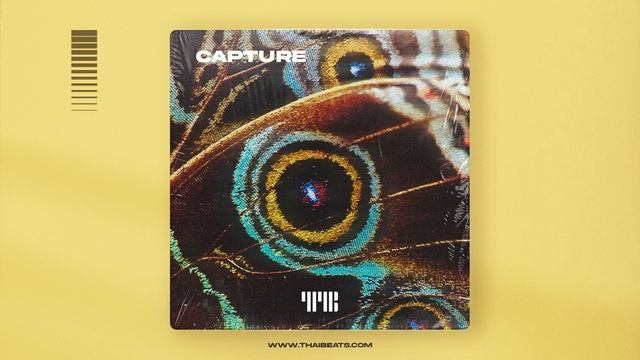 Tyga Type Beat, Club Banger Instrumental - "Capture" смотреть онлайн