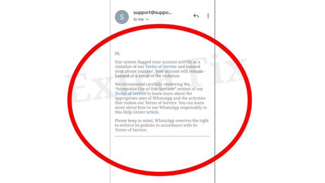 WhatsApp Banned Mail Our system flagged your account activity as a violating Problem смотреть онлайн