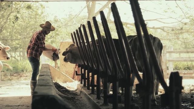 3 Disturbing Pitchfork Murders смотреть онлайн