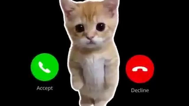 Apple ringtone 🍎 iphone mobile ringtone 🍎 best call ringtone 2024 / New mobile ringtone / best call смотреть онлайн