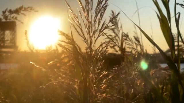Watch This Before You Download the NEW Blackmagic Camera App - Footage смотреть онлайн