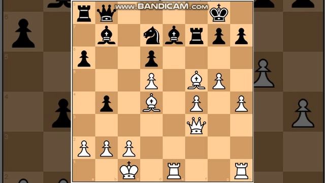 Mikhail Tal vs Bent Larsen ( 1-0 ) смотреть онлайн