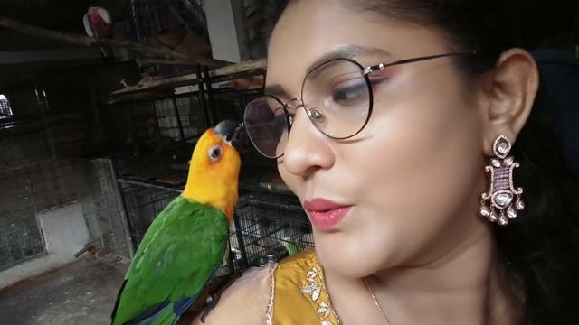 visited PARROT DIPANKAR BIRD BREEDING FARM #parrotdipankar #newmember #amazonparrot #hellobirdy🦜🦜 смотреть онлайн