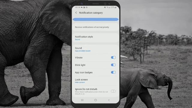 Android Notification Setup смотреть онлайн