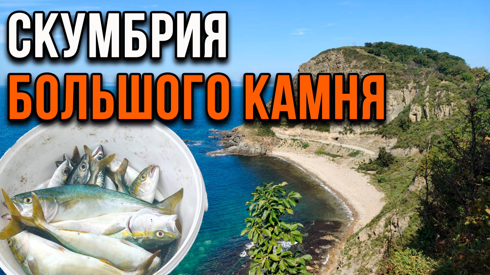 Скумбрия Большого Камня смотреть онлайн