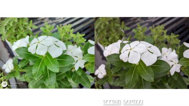 Motorola G71 5g Gcam Sample | Google Camera Download Link | After Android 12 Update | 2022 смотреть онлайн