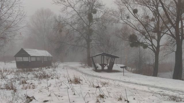 Beautiful foggy morning in Kyiv Ukraine 12/17/2022 (MotionCam app) 4k hdr 60fps смотреть онлайн