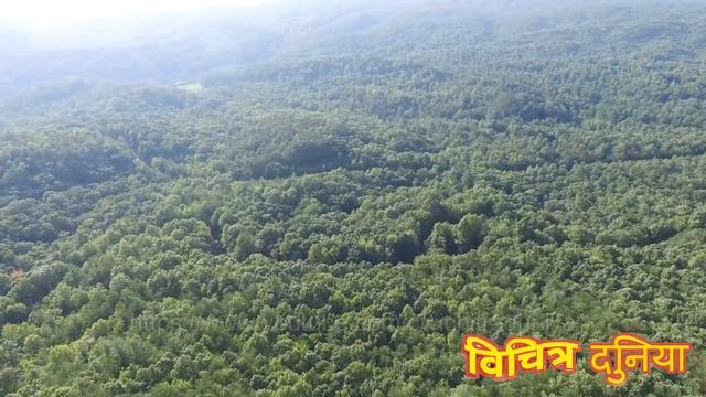 (in Hindi) क्या पृथ्वी के अंदर एक उन्नत दुनिया रहती है | Does a civilization live inside the earth смотреть онлайн