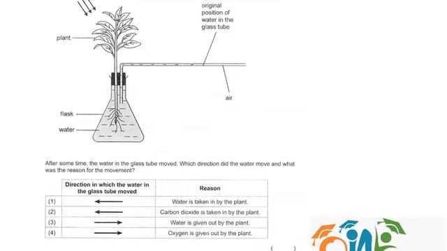 PSLE Science 2013 P1 Q12 смотреть онлайн