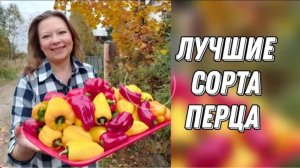 ЛУЧШИЕ СОРТА И ГИБРИДЫ СЛАДКОГО БОЛГАРСКОГО ПЕРЦА. ПОСЕВ ПЕРЦА