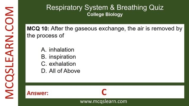 Respiratory System Quiz Question Answer PDF | Respiratory System Class 11-12 Ch 7 | Biology Quiz Ap смотреть онлайн