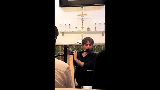 Igor Sivak. Ирландская флейта. A Quiet Autumn jig. смотреть онлайн