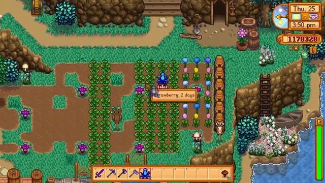 Stardew Valley (1.4) Expanded & Modded Series - Episode 67 - Spring Animal Contest смотреть онлайн