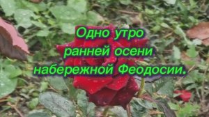 ОдноУтроФеодосии.mp4