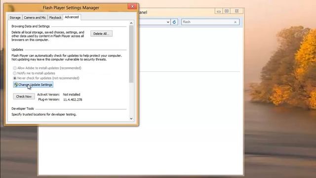 Set Automatic Adobe Flash Update - BrowserFame.com смотреть онлайн