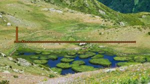 ХАБИБА - ГЛАЗА В ГЛАЗА 2024