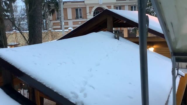 Тимоша и Вита . Новый Год.2021 смотреть онлайн