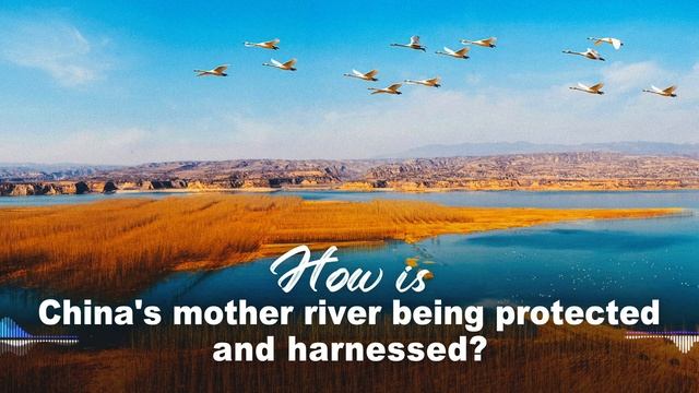 How is China’s mother river being protected and harnessed? смотреть онлайн