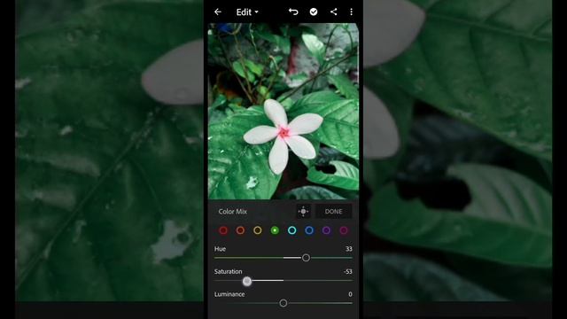 How to edit moody green in Lightroom apk on android phone 🌿✨ смотреть онлайн