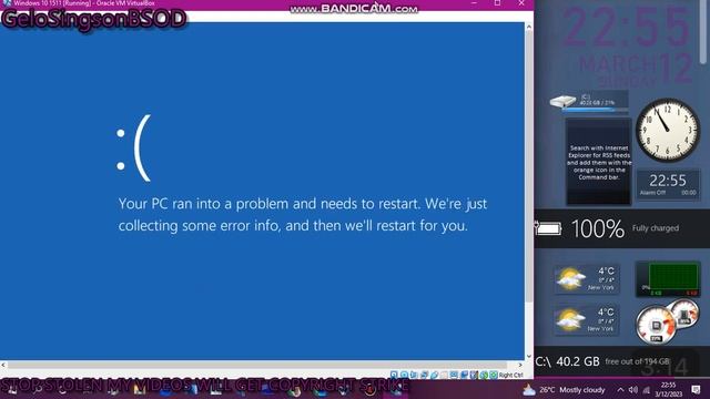 Windows 10 1511 has BSOD VM смотреть онлайн