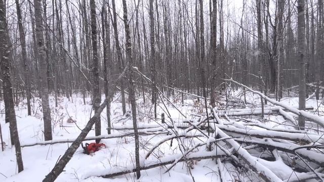 Winter Snowstorm Hits Our Off Grid Cabin In Northern Minnesota смотреть онлайн