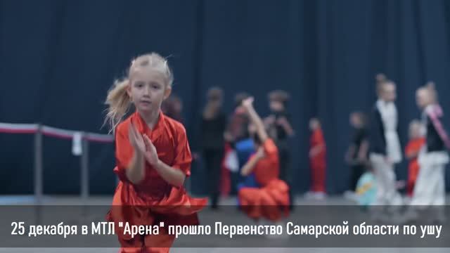 Первенство Самарской области по ушу. Самарская Федерация Ушу смотреть онлайн