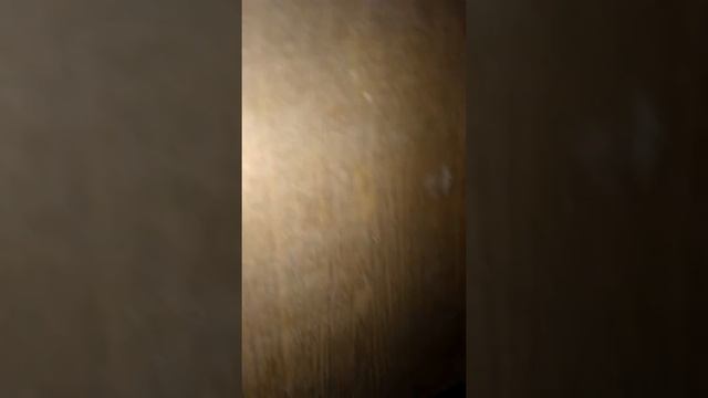 СКУД . электронный ключ ТМ смотреть онлайн