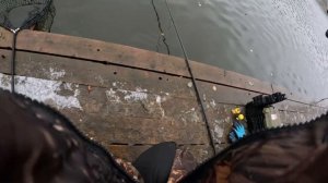 форелевая рыбалка по первому снегу