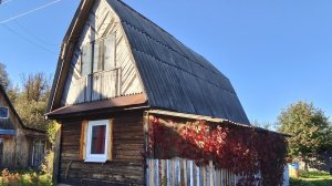 Долгожданные выходные на даче