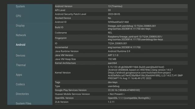 How to Install Android Tv on a Raspberry pi 4 - It's PCD смотреть онлайн