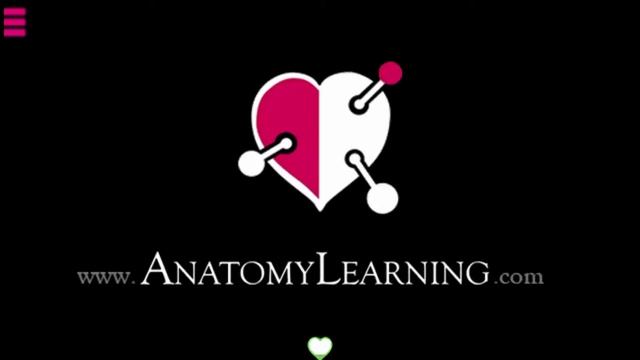 How to Install Anatomy Learning 3D Atlas on Android смотреть онлайн