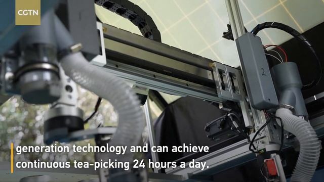 Intelligent robots join workforce to help pick tea in China's Hangzhou смотреть онлайн