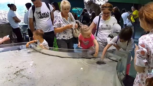 Москвариум(35) смотреть онлайн