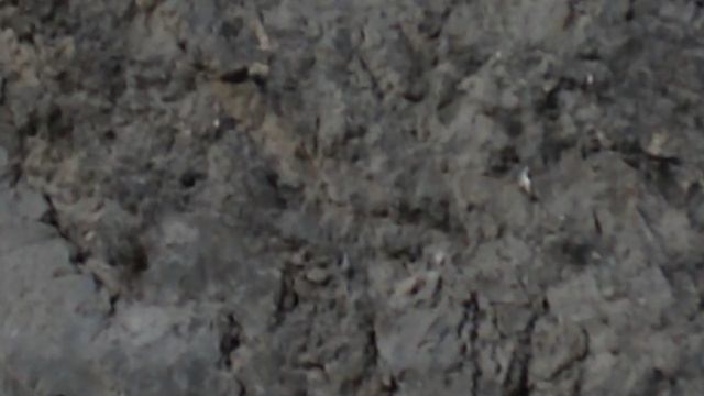 DSCN3451Северная Осетия Цейское ущелье октябрь 2020