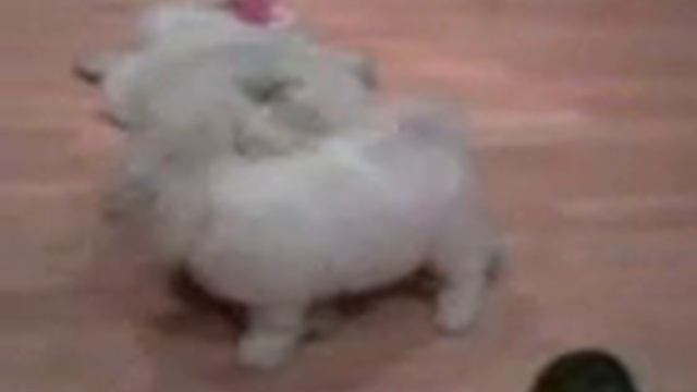young rosie and lou.3gp смотреть онлайн