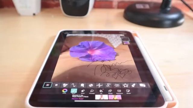 Unboxing Universal Stylus Pen (Mixio G6) & Case For iPhone, Android, Tab Etc смотреть онлайн