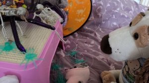 хэлоуин 🤣🤣🎃👹🧛♂️🧛♀️🧟♀️🎩