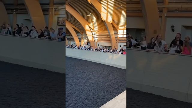 Акапельно поздравляли конный клуб Форсайт с юбилеем! смотреть онлайн