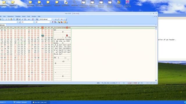 How to find the entry point of file using hex editor? смотреть онлайн