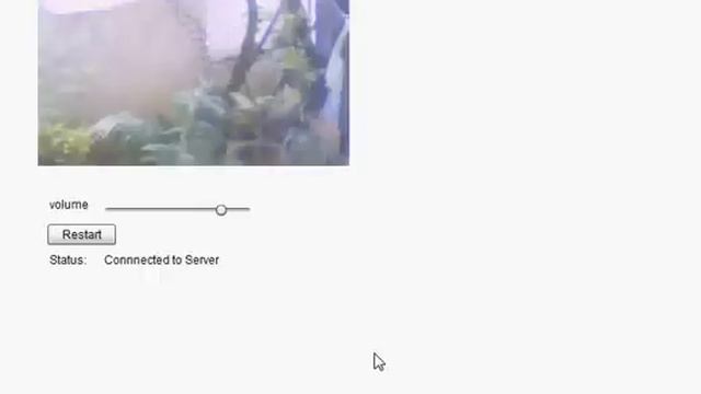Live Cam Streaming using Red5 Flex смотреть онлайн