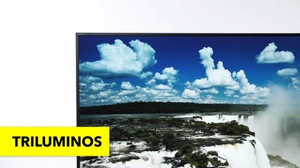 SONY KD 55XD8599 - dane techniczne - RTV EURO AGD