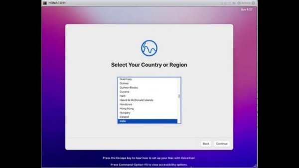 Install Mac OS on ESXi OS
