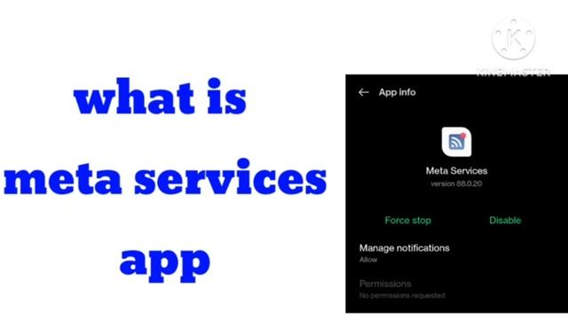 Meta Services app kya hai | What is Meta Services App in Android | Meta Services App meaning смотреть онлайн