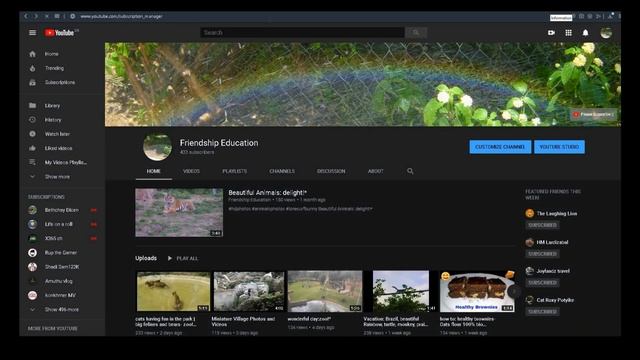 youtube: subscriptions manager! (hidden) смотреть онлайн