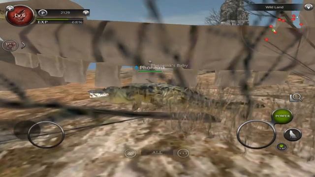 Wild Animals Online - Pack of Crocodiles - Android/iOS - Gameplay Episode 14 смотреть онлайн