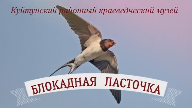 Блокадная ласточка смотреть онлайн