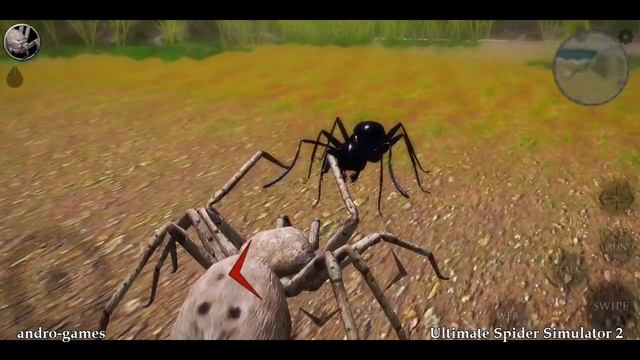 Ultimate Spider Simulator 2 (by Gluten Free Games) - simulation game for Android and iOS - gameplay смотреть онлайн