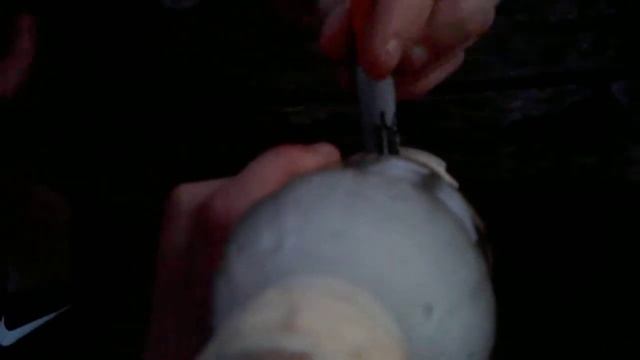 Virtual Bong Rip смотреть онлайн