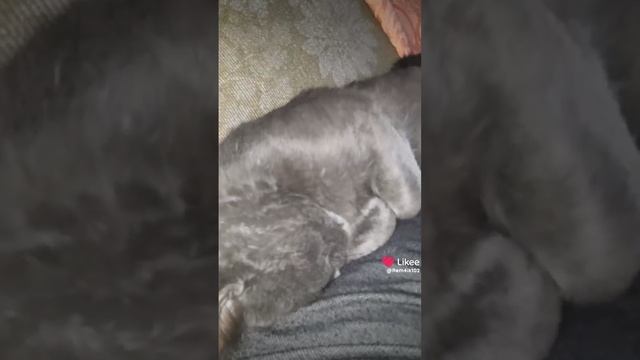 Бессоница смотреть онлайн