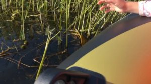 Катание на лодке. Правила поведения на воде